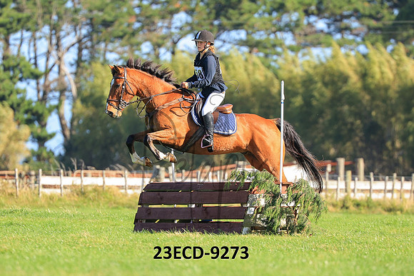 23ECD-9273
