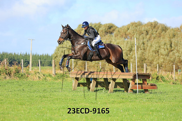 23ECD-9165