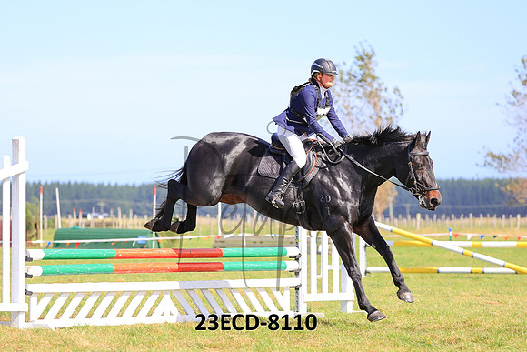23ECD-8110