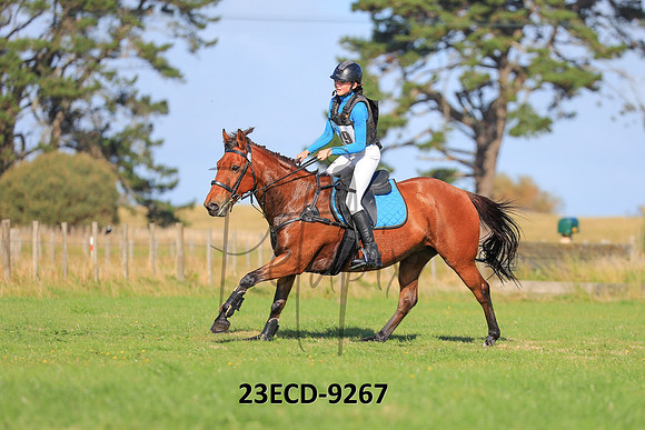 23ECD-9267