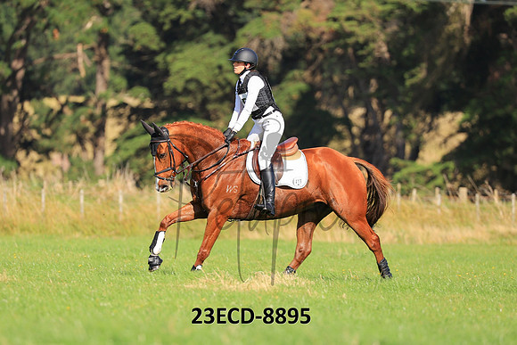 23ECD-8895