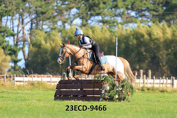 23ECD-9466