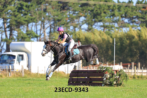23ECD-9343
