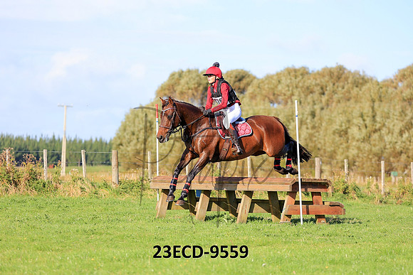 23ECD-9559