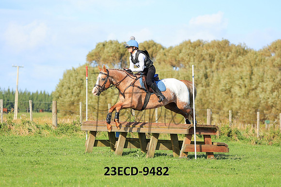 23ECD-9482