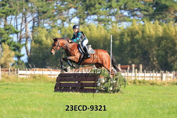 23ECD-9321