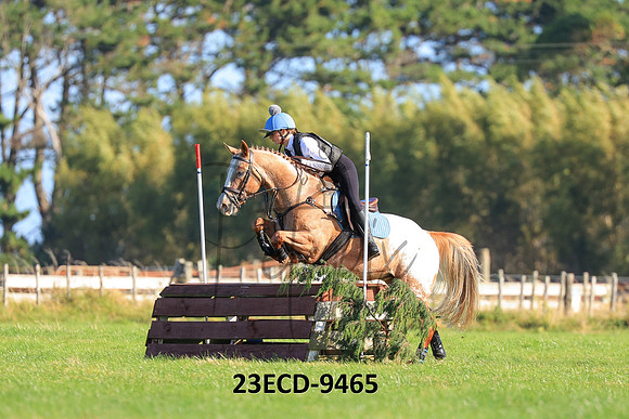 23ECD-9465
