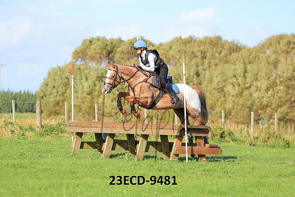 23ECD-9481