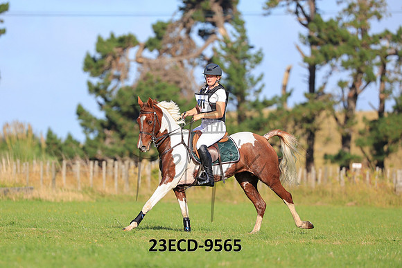 23ECD-9565