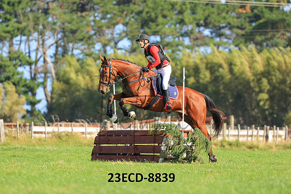 23ECD-8839