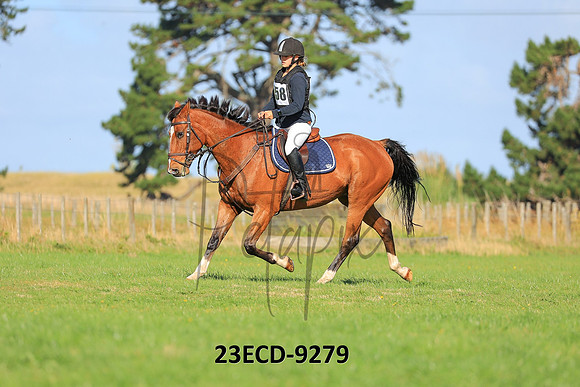 23ECD-9279