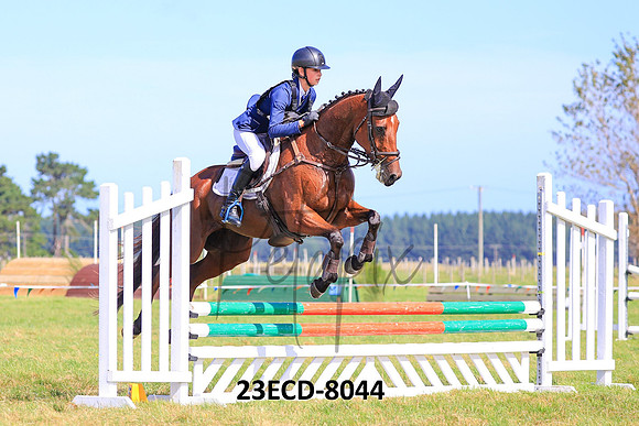 23ECD-8044