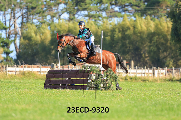 23ECD-9320