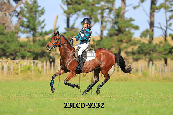 23ECD-9332