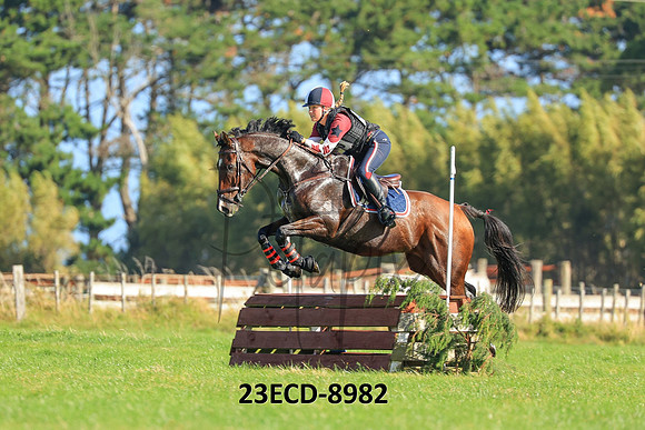23ECD-8982