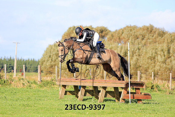 23ECD-9397