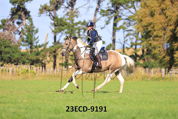 23ECD-9191