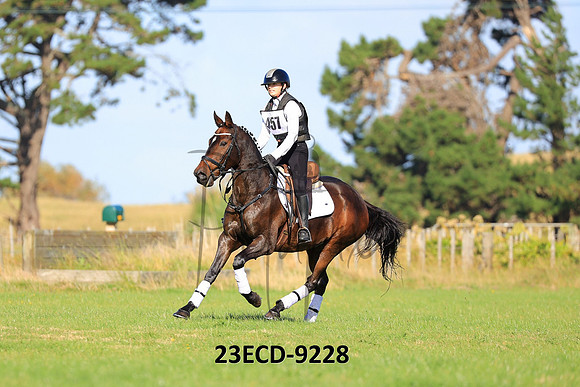 23ECD-9228