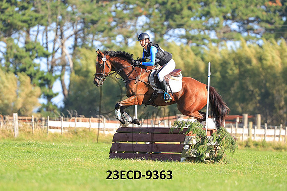 23ECD-9363