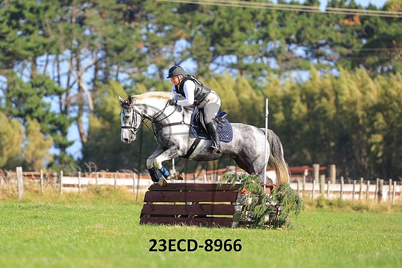 23ECD-8966
