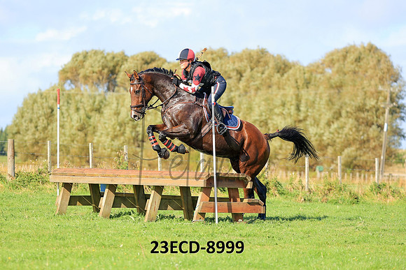23ECD-8999