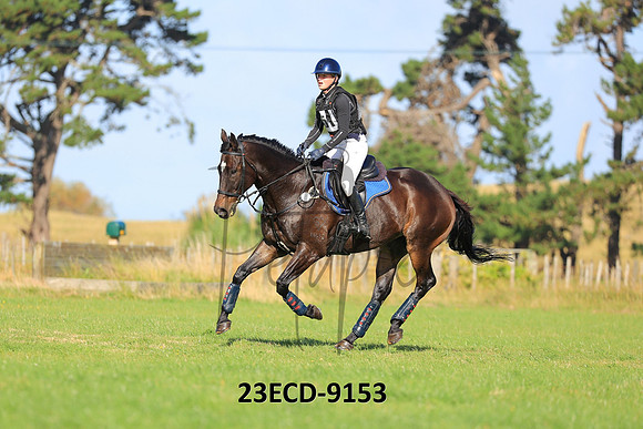 23ECD-9153