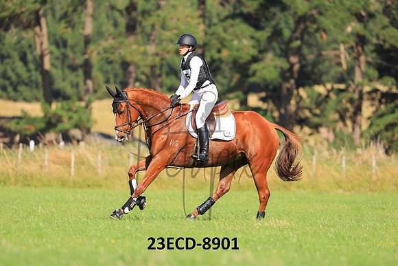 23ECD-8901