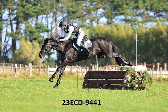 23ECD-9441
