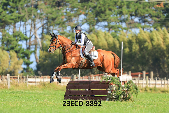 23ECD-8892