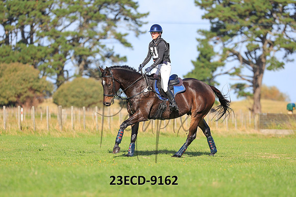23ECD-9162
