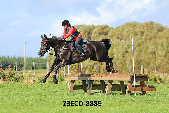 23ECD-8889