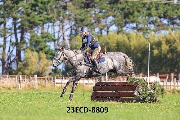 23ECD-8809