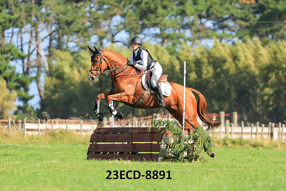 23ECD-8891