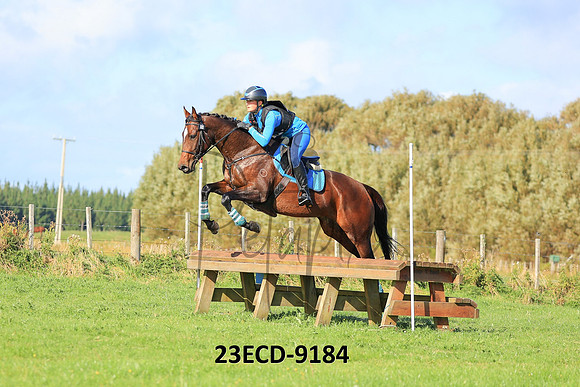 23ECD-9184