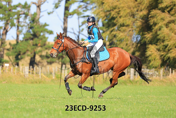 23ECD-9253