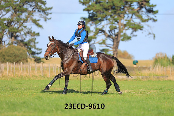 23ECD-9610