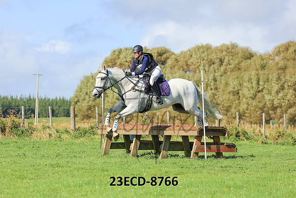 23ECD-8766