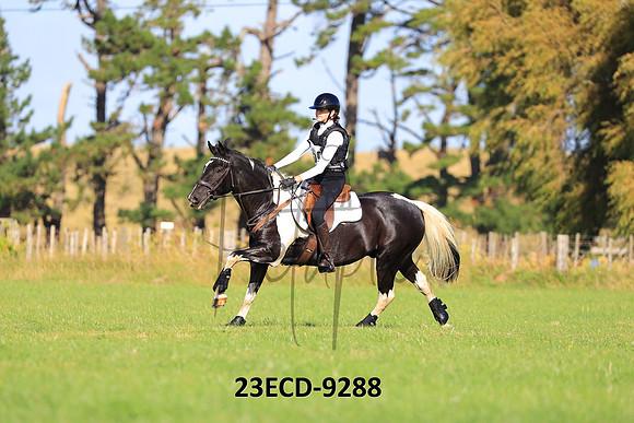 23ECD-9288