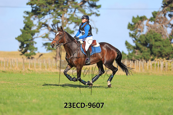 23ECD-9607