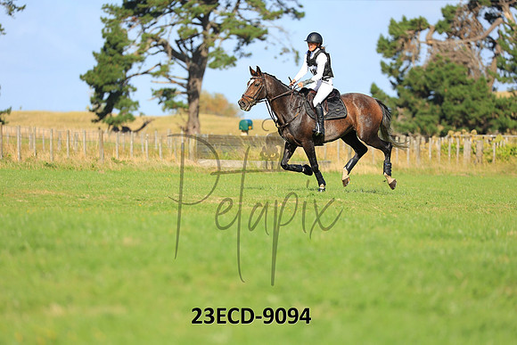 23ECD-9094