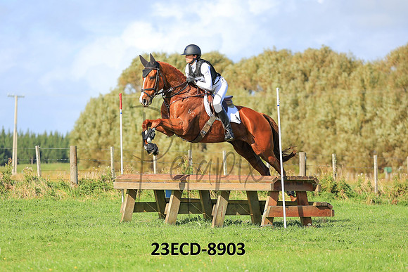 23ECD-8903