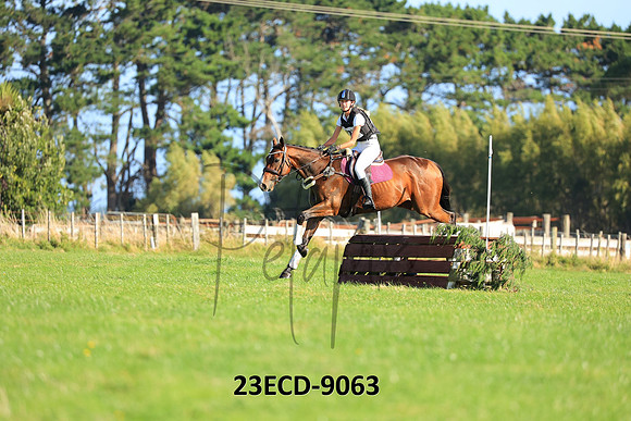 23ECD-9063