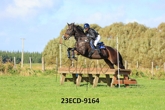 23ECD-9164