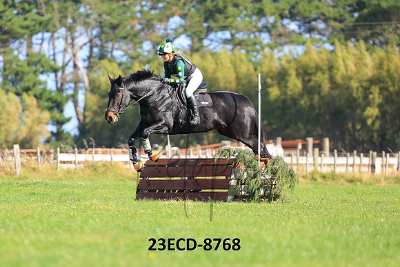 23ECD-8768