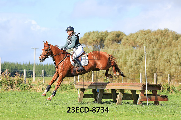 23ECD-8734