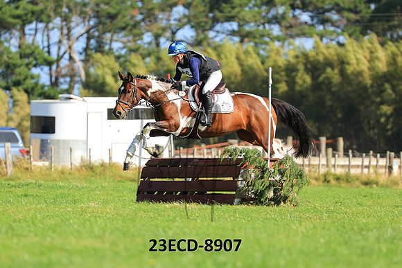 23ECD-8907