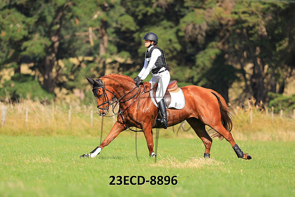 23ECD-8896