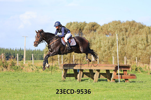 23ECD-9536