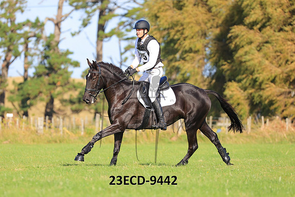23ECD-9442