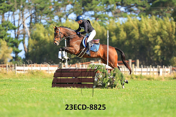 23ECD-8825